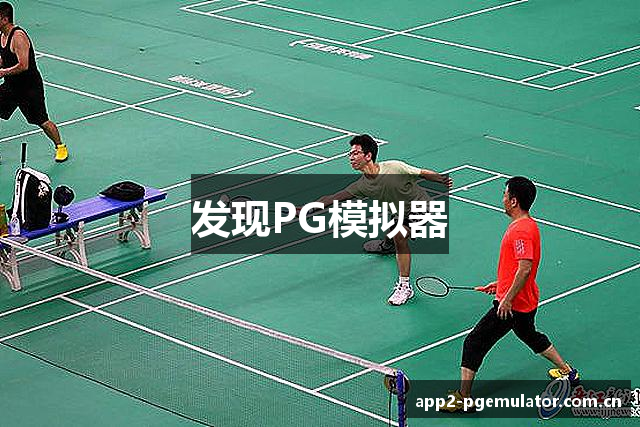 发现PG模拟器